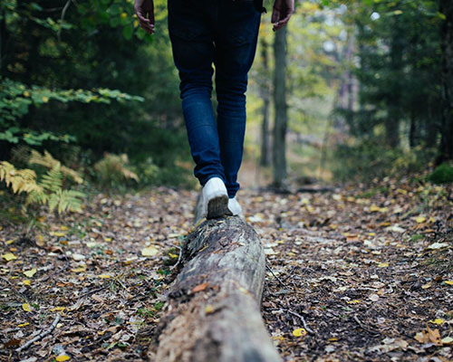 person in blue jeans walking on tree