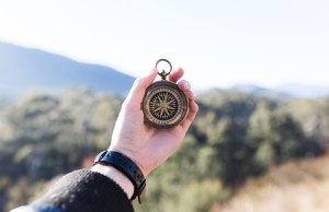 compass in front of trees