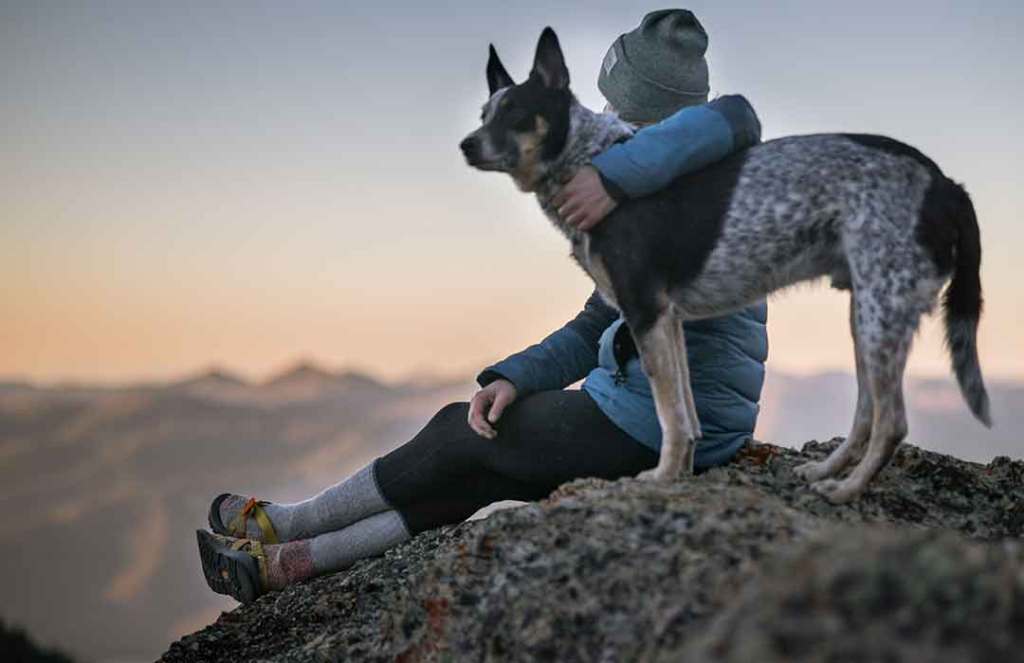 “I want to walk like you, talk like you”: dogs match their owners’ personality (Video)