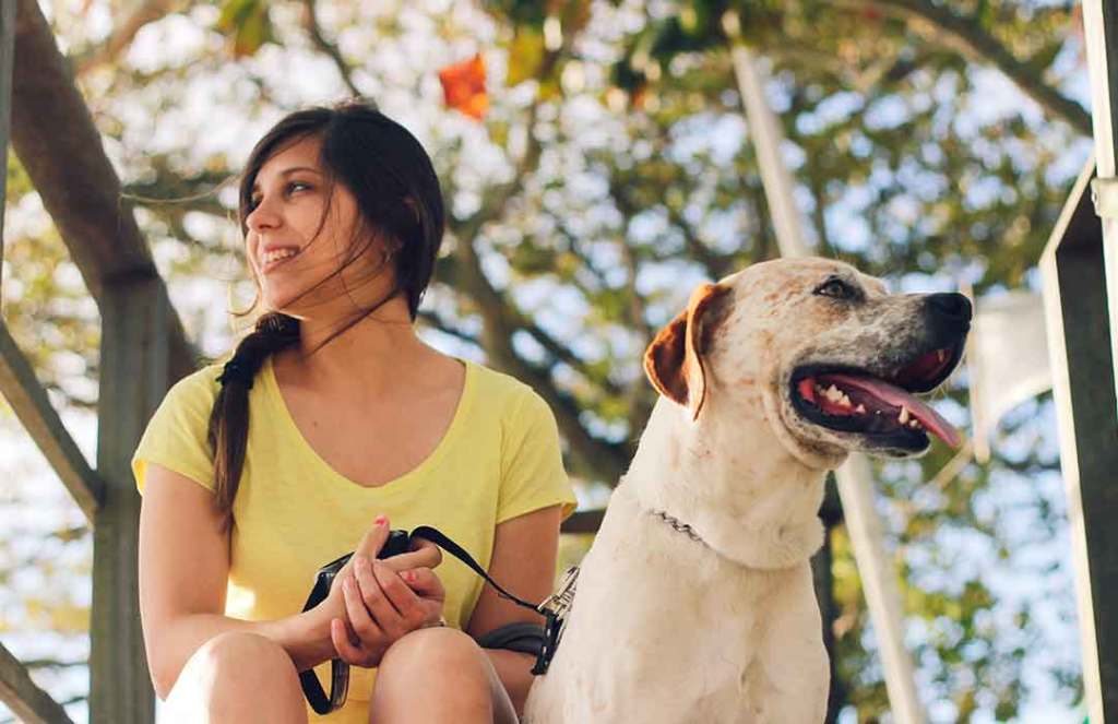 Dogs Who Absolutely Love the Fall Season