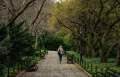 woman walking down stone path