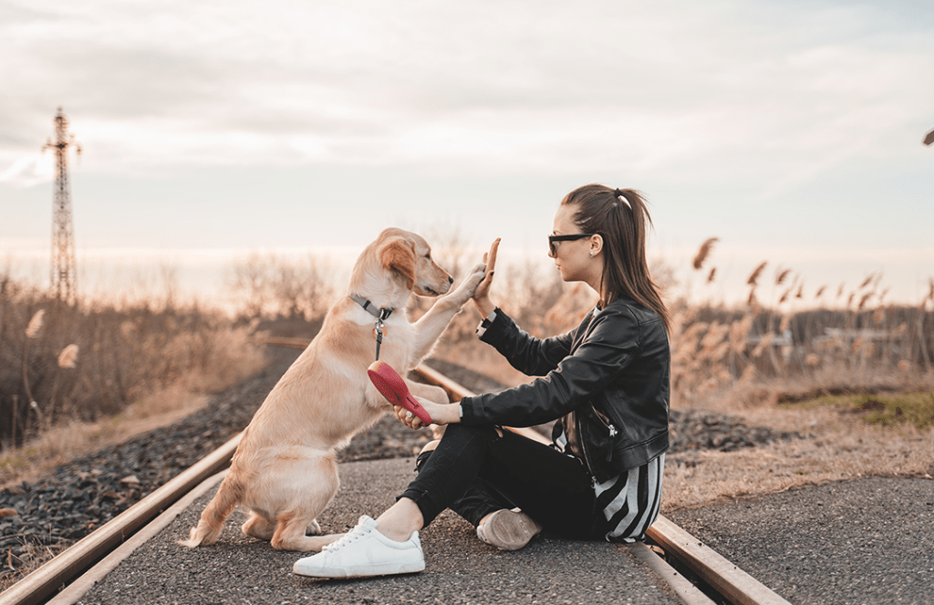 Exploring the deep bonds between humans and their companion animals